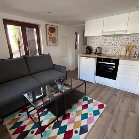 Soh Rent Proche Strasbourg Terrasse -tv * シルティグアイム